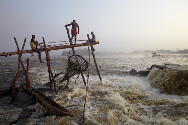 Chutes Wagenia
 (Boyoma Falls)